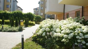 Фотографии Апартаменты Апартаменты Apartament Agata г. Свиноуйсьце (Польша) №61 Фото номера Апартаменты Апартаменты Apartament Agata г. Свиноуйсьце 61