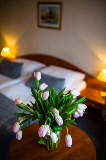 Фото номера Двухместный номер с 1 кроватью Отель Hotel ***NAT Świnoujście г. Свиноуйсьце 2